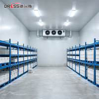 Chambre froide modulaire extérieure pour stockage de glaçons, congélateur de plain-pied pour usine de glace