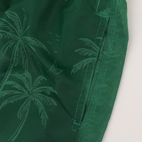 Shorts de sport décontractés pour hommes en nylon à séchage rapide, longueur trois-quarts, résistants à l'eau, avec cordon de serrage, pour la plage