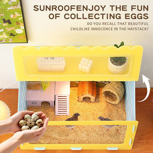 Cage à hamster colorée avec fenêtre en acrylique, petit habitat pour animaux de compagnie, maison pour hamster, cochon d'Inde, hérisson - Product Image 6