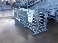 Corral de calibrage robuste en acier galvanisé pour moutons et chèvres, avec panneaux en V, pour le calibrage de bétail