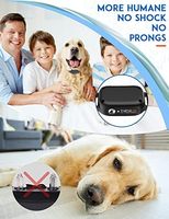 Wiederaufladbares Umweltfreundliches Plastik-Hundeagility-Trainingshalsband IP67 Wasserdicht 3300ft Reichweite Vibrierendes Signal 5-120 Pfund Alle Rassen