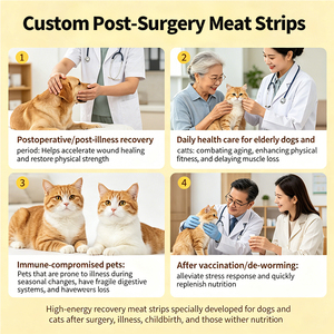 Complément alimentaire naturel pour animaux de compagnie après une opération, bandes de peptides avec lactoferrine, CPP, taurine, stimulant immunitaire pour chiens et chats - Product Image 3