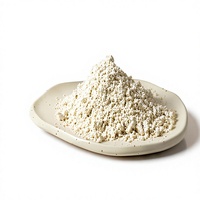Extrait de Zeste de Pamplemousse en Poudre de Qualité Alimentaire, Sans Solvant, Extrait à l'Eau, pour Compléments Alimentaires à Base de Plantes