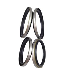 Joint hydraulique OEM DKB/DKBI/IDI rond spécial anti-poussière, forte demande, Hebei Chine - Product Image 4