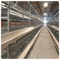 Poulailler entièrement automatique pour poules pondeuses, ferme avicole d'Afrique du Sud, poulailler galvanisé