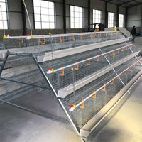 Cage à batterie de type A galvanisée à chaud, 4 niveaux, 4 portes, pour volailles pondeuses, système d'élevage de poulets, conception à longue durée de vie