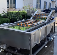 Commerciële Industriële Luchtbel Fruit Avocado Mango Groente Aardappel Water Wasmachine/Bevroren Groente Productielijn