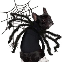 CHENSHI Décoration d'araignée lumineuse pour Halloween, costume pour animaux de compagnie (chats et grands chiens), utilisation intérieure/extérieure