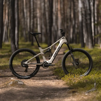Nouveau VTT électrique Amflow TL Carbon EMTB Avinox M2 Amflow TL Carbon léger avec batterie lithium-ion amovible RS800
