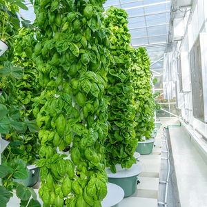 5、7、9、12、15段 20～60株 垂直農業 水耕栽培システム エアロポニックス タワー 水耕栽培タワー - Product Image 4