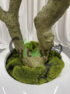 Arbre d'<span class=keywords><strong>olivier</strong></span> artificiel LUYI, élégante plante d'intérieur pour la décoration de la maison, arbre d'<span class=keywords><strong>olivier</strong></span> artificiel - Product Image 6