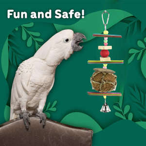 Giocattoli di masticazione di legno colorati per pappagalli di noia per pappagalli monaci naturali ecologici - Product Image 2