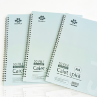 Carnet A4 de haute qualité à spirale métallique, couverture en carton blanc, pages personnalisables, double spirale, cahier d'exercices scolaire, fourniture d'usine