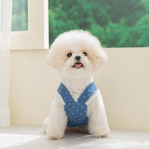 Nuova Gonna in Denim a Pois Casual Primavera Estate 2026 con Guinzaglio per Bichon Frise e <span class=keywords><strong>Cani</strong></span> di Piccola Taglia - Abbigliamento per Animali Domestici - Product Image 2