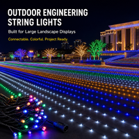 Guirlandes lumineuses LED d'extérieur connectables en gros avec connecteurs filetés, effet clignotant et 8 couleurs