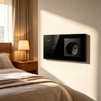 Interrupteur intelligent UBARO en verre trempé 1 voie, prise WiFi UE, USB-A et USB-C, moniteur de consommation, contrôle vocal à distance via l'application Tuya Smart Life