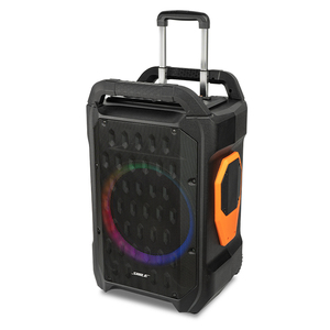Chuyên Nghiệp Lớn Điện 12 Inch Bt Stereo Hifi Bằng Gỗ Không Dây Loa Karaoke Với Mic Đảng Sân Khấu Xe Đẩy Loa Bass - Product Image 1