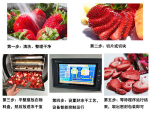 과일 식품 야채 진공 동결 건조기 6 트레이 Usa 배송 도어 동결 건조기 기계 - Product Image 2