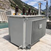 Solución EPC Profesional S11, Transformador de Potencia Sumergido en Aceite con Bobinado de Cobre, 11kv, 33kv, 1000kva, 1600kva, 3 MVA, 10 MVA