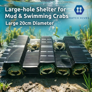 HatchHives - Abri professionnel pour crevettes et maison pour crabes - Nid de reproduction empilable en PVC durable et écologique pour l'élevage à grande échelle - Product Image 1