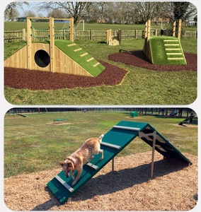 Custom Large Outdoor <strong>Pet</strong> Playground Equipment for Commercial Mall <strong>Dog</strong> <strong>Park</strong> Agility Slide Manufacturer - Product Image 3