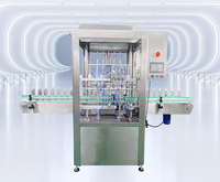 Machine de bouteille en plastique/verre économiseuse d'énergie pour le remplissage de boisson/huile pour l'industrie chimique alimentaire pour le métal de liquides visqueux