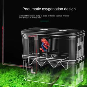 Multifunctionele Transparante Acryl Dubbellaags Isolatiedoos Plastic Viskwekerij Opknoping Incubator Fokker <span class=keywords><strong>Aquarium</strong></span> - Product Image 5