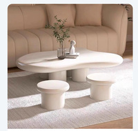 Table Basse Moderne en Bois Forme Nuage SWT 2025, Facile à Assembler, Faite Main, Revêtement Poudre, Meuble Décoratif pour Salon