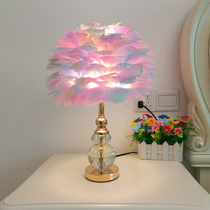 Modern White Pink <strong>Grey</strong> Crystal Feather <strong>Lamp</strong> LED Creative Pearl Goose Feathers for Bedroom Decoration E27 Bedside <strong>Floor</strong> <strong>Lamp</strong> - Product Image 2
