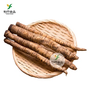 Raíz de bardock fresca dorada Yokid china para exportación - Product Image 1