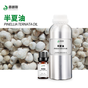 有機ピネリアテルナタオイル100% 純粋天然ピネリアテルナタエッセンシャルオイルアロマセラピースキンケア - Product Image 1