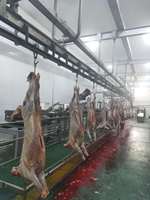 Machine professionnelle d'abattage de moutons, équipement d'abattage de chèvres pour abattoir halal, machinerie d'abattoir de bovins