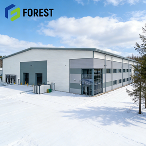 Edificio de Planta de Fabricación con Estructura de Acero de Bajo Consumo Energético para Comercio Electrónico en el Sudeste Asiático, Resistente al Fuego, Ideal para Vietnam - Product Image 1