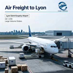 Servizio di Trasporto Aereo da Aeroporto a Aeroporto dalla Cina a Parigi CDG ORY Lyon <span class=keywords><strong>LYS</strong></span>, Agente di Spedizione CIF CFR per Carichi Fuori Misura - Product Image 2