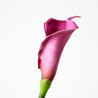 Lys Calla Artificiels en PU Faits Main, Réalistes, pour Accessoires Photo et Décoration de Table/Conférence, Marque Zhiwu, Longue Durée