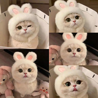 Costume de chat en gros avec chapeau, vêtements pour animaux de compagnie en coton et fausse fourrure, pull avec chapeau pour chat