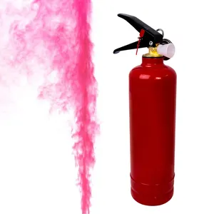 HEHE Mädchen oder Jungen Baby Geschlecht enthüllen Feuerlöscher 250g Pulver Rauch Farbe Blaster