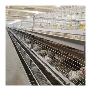 Kandang Ayam Broiler Desain Rumah Peternakan Unggas, untuk Konstruksi Peternakan Ayam