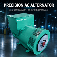 Alternateur synchrone sans balais 300 kVA 50 Hz 60 Hz avec régulateur de tension automatique