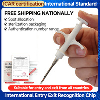Microchip pour animaux de compagnie 134,2 KHz ISO11784/85 FDX-B, puce RFID en verre implantable avec seringue pour chien, chat, bétail