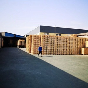 60M³ Wood <b>Drying</b> Kiln Electric Heating Type Timber <b>Drying</b> <b>Equipment</b> For Pallet Manufacturing - Product Image 6