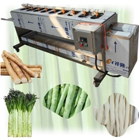 Machine automatique de nettoyage et d'épluchage pour radis blancs, pommes de terre, manioc et tiges de laitue