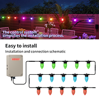 Guirlandes lumineuses LED RGBW commerciales pour extérieur, DC24 36V, contrôle intelligent, IP65, étanches, ampoules LED musicales