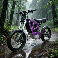 HCBK-X50 Nuevo Modelo 22KW 72V58Ah Motocicleta Todoterreno de Alto Rendimiento, Tipo Cloud Leopard Xe, Motocicleta Eléctrica 120km/h