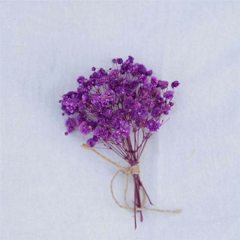 Bouquet de gypsophile violet no32-8-11cm