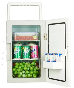ตู้เย็นเครื่องสำอางร้อน16L AC 110V 220V ตู้เย็นขนาดเล็กที่กำหนดเองบ้านเครื่องดื่มเย็นตู้เย็นรถ