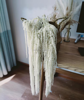 Fleur décorative Amarante Fleur Amoureux Larme Conservée Amarante Suspendue Mariage Amaranthus Caudatus Fleur pour Noël