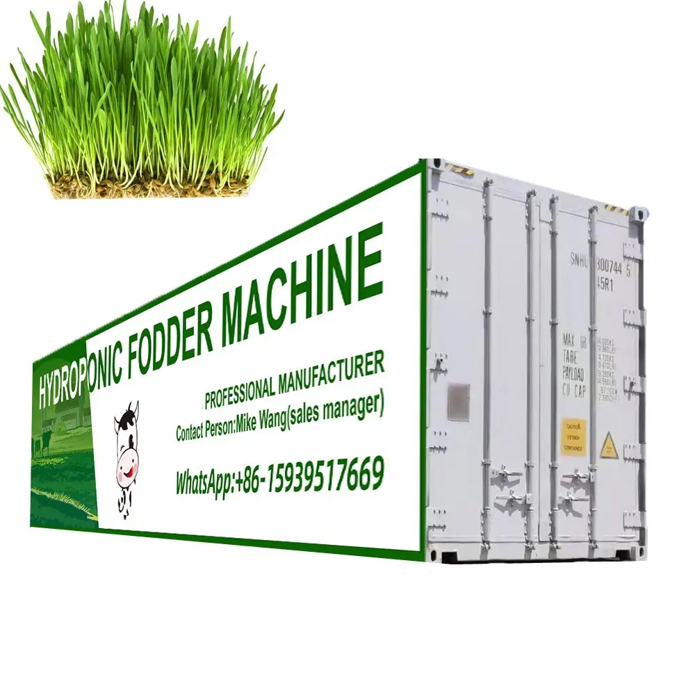 Solución de forraje hidropónico automática, tipo contenedor, para hierba verde, precio