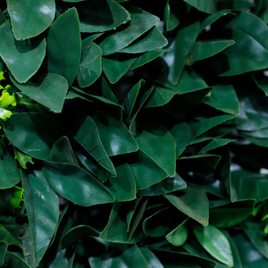 Rouleau de gazon artificiel <span class=keywords><strong>3D</strong></span> feuille géante vert mur de jardin intérieur en plastique décoration de pelouse Type de plante herbe pour plante de clôture de fond - Product Image 3