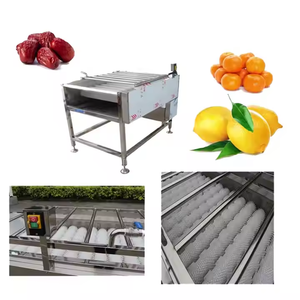High Pressure 304 Stainless Steel Engine-Powered <b>Fruit</b> & <b>Vegetable</b> Washing <b>Machine</b> with Easy Operation - Product Image 5